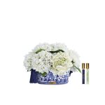 Cote Noire Chinoiserie Hydrangea