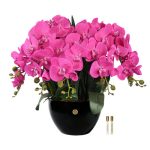 Cote Noire Luxury Giant Orchid Bouquet - Pink in Ceramic Vase