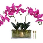 Cote Noire Oval Orchid Bouquet - White & Gold Badge